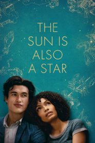 The Sun Is Also a Star izle