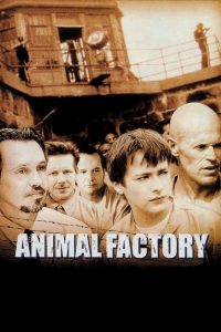 Hayvan Fabrikası izle