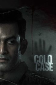 Cold Case – alt yazılı izle